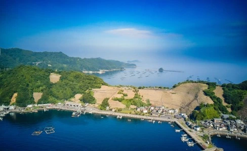 美しい宇和海と段畑