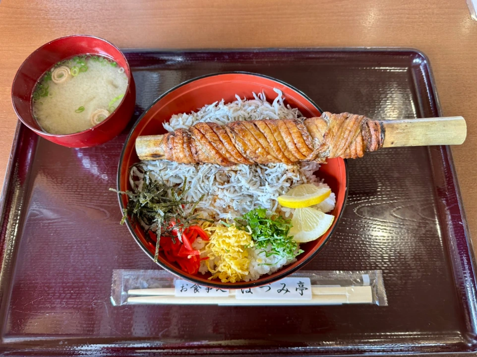 太刀魚ちりめん丼